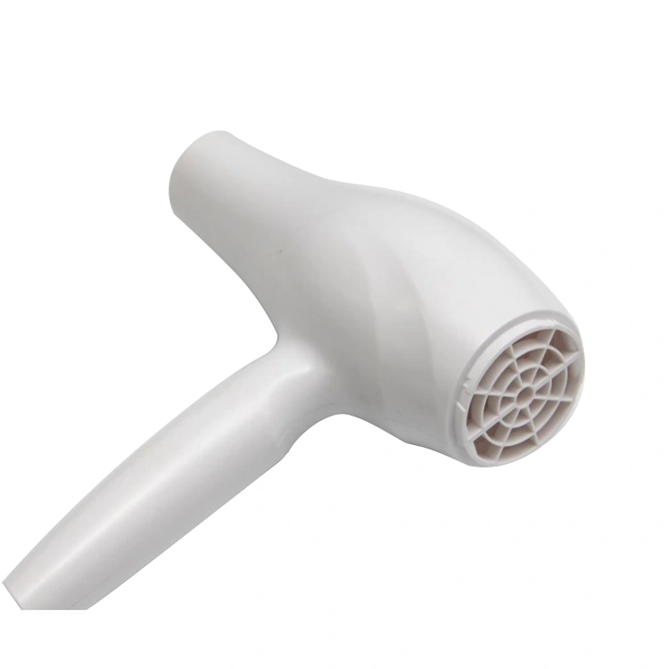 Constant Temperature Negative Ion Hair Dryer